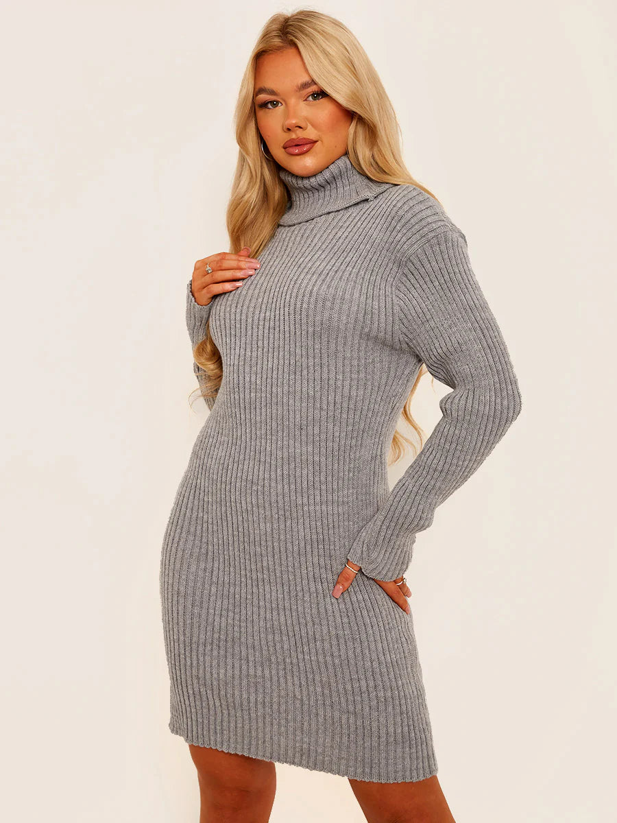 Ribbed Knitted Roll Neck Bodycon Dress Grey