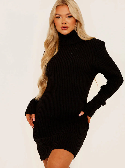 Ribbed Knitted Roll Neck Bodycon Dress Black