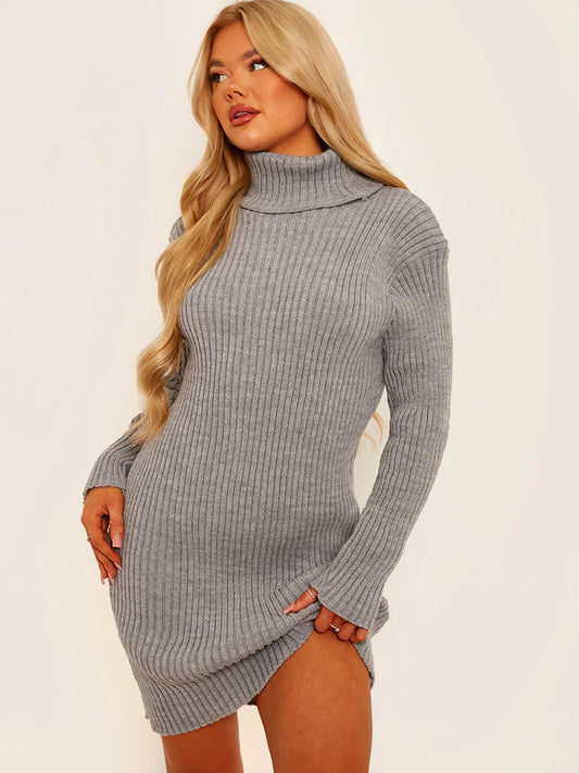 Ribbed Knitted Roll Neck Bodycon Dress Grey